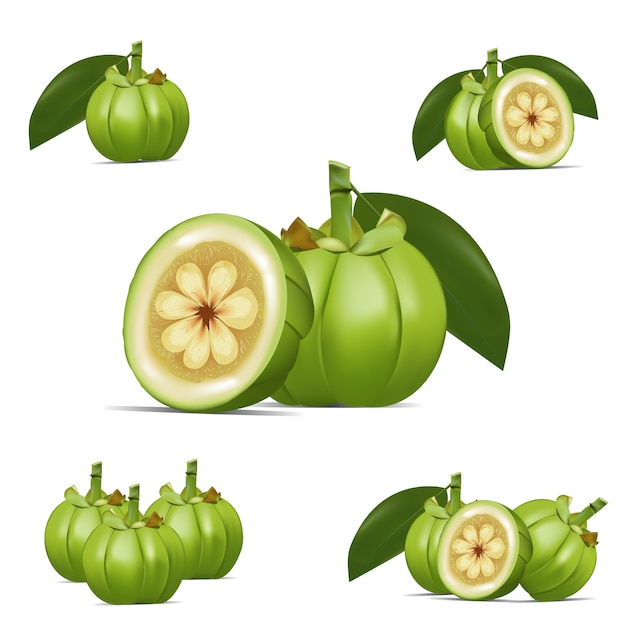 Garcinia Cambogia 