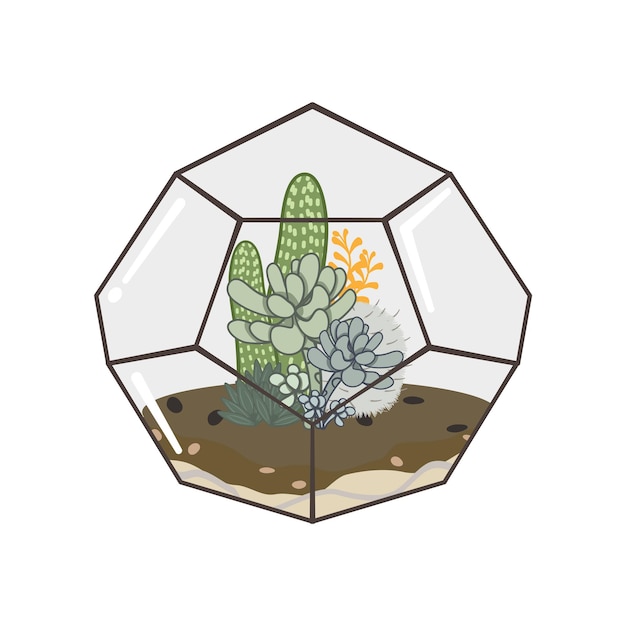 Garden of cactus and succulent plants inside a terrarium.