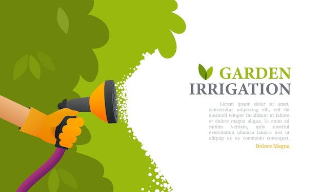 Garden care irrigation vector illustration watering plants banner cartoon character takes care of