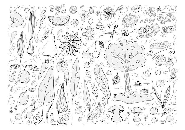 Vector garden doodle vector background set