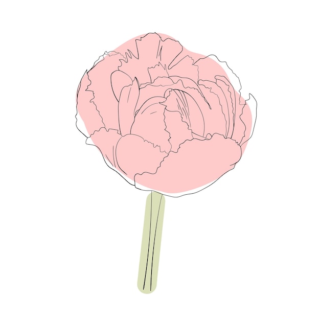 Garden flower. Line drawing. Vector illustration. Coloring page element. Floral sketch.