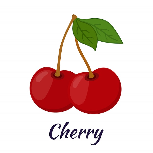 Garden fresh cherry. Sweet berries