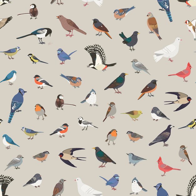 Vector garden little birds vector seamless pattern