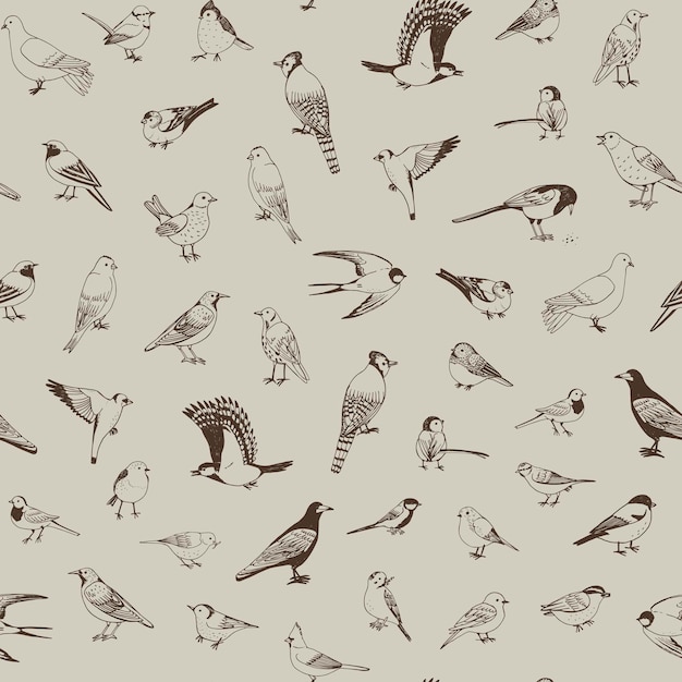 Vector garden little birds vector seamless pattern