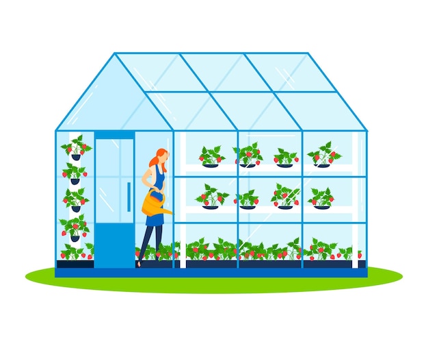 Garden plant in greenhouse vector illustration People cartoon character gardening at nature man woman person have agriculture hobby