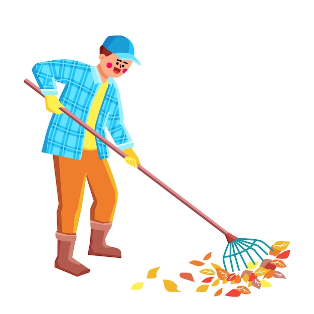 Gardener Clean Falled Leaves In Garden Vector