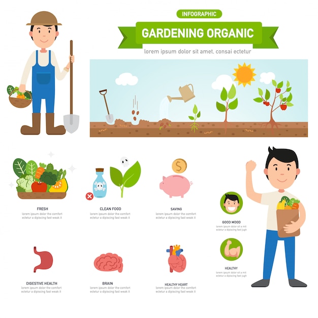 Gardening organic infographic, illustration