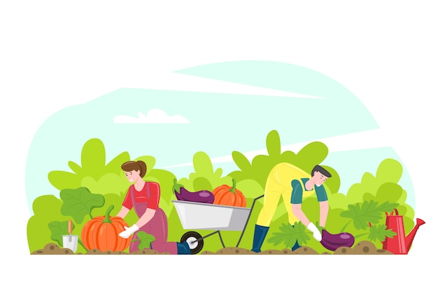 Gardening people gathering harvest illustration