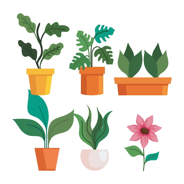 Gardening plants insde pots and flower design, garden planting and nature theme