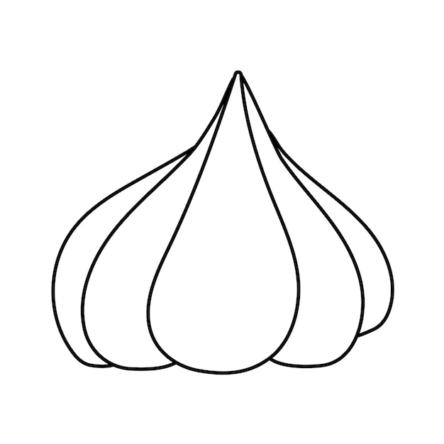 Garlic doodle flat illustration on white background Vector graphics design