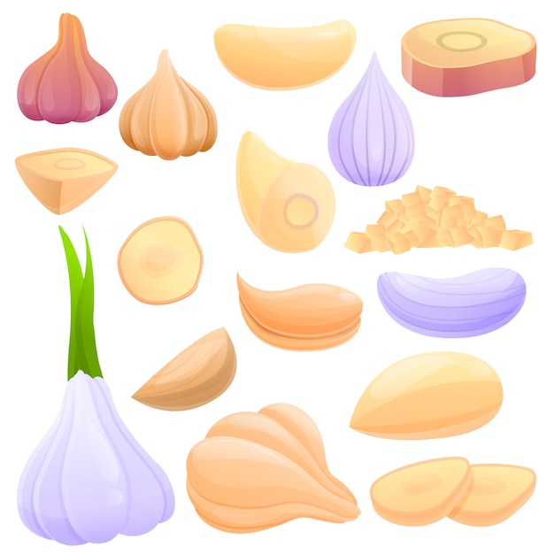 Garlic elements set, cartoon style