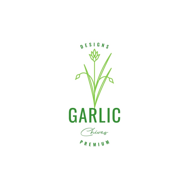 Garlic leaves green cooking food tasty spice hipster logo design vector icon illustration template