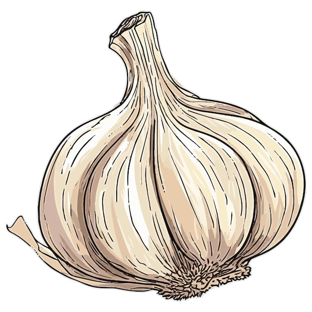 Garlic Magic Infusing Art with the Alluring Essence of Garlic