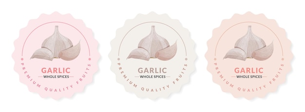 Garlic packaging design templates, watercolour style vector illustration.