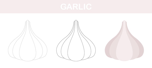 Garlic tracing and coloring worksheet for kids