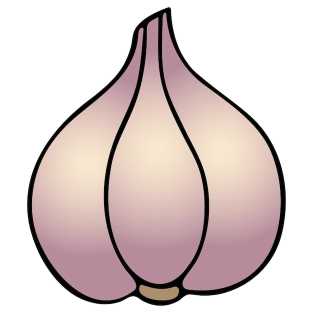 Garlic Vegetable culture in cartoon style Head of garlic Spice for cooking Violetyellow husk