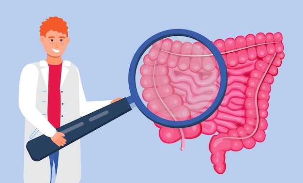 Gastroenterology concept vector Large and small intestine doctors examine treat dysbiosis Gastroenterologist looks through at harmful bacteria