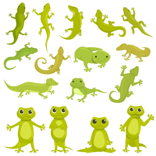 Gecko icon cartoon vector. Chameleon animal