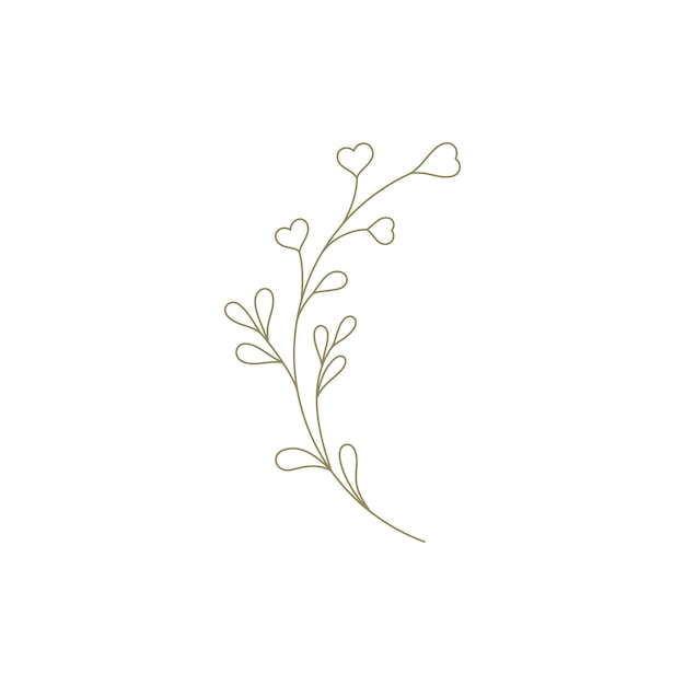 Vector gentle wildflower elegant feminine monochrome linear decorative element for logo vector