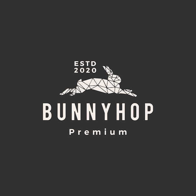 Geometric rabbit bunny hop hipster vintage logo  icon illustration