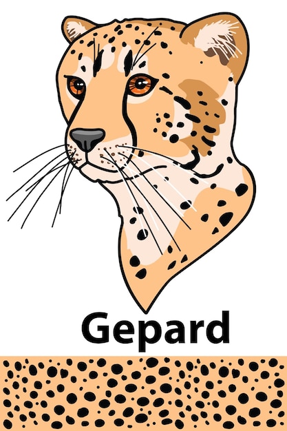 Gepard head of wild animal living in nature with a print texture of the skin