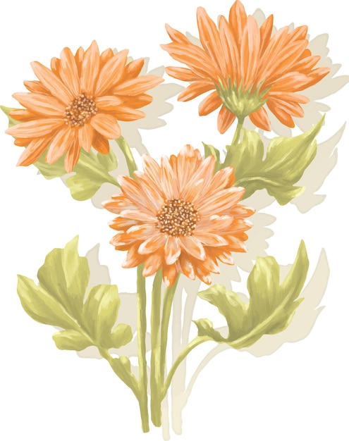 Vector gerbera flower digital painting illustration