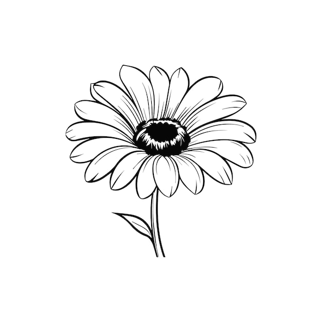 Vector gerbera flower vector illustration