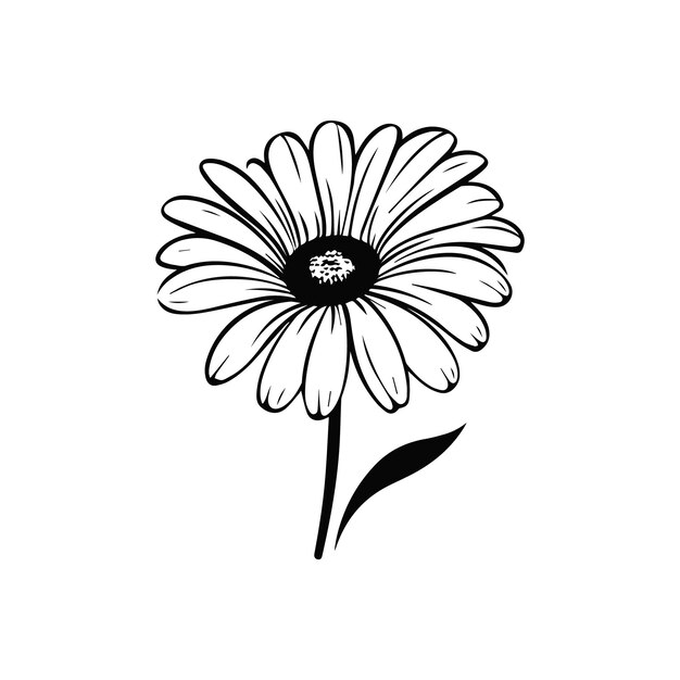 Vector gerbera flower vector illustration