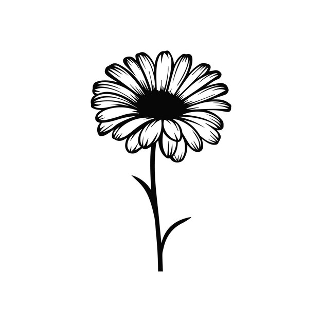 Vector gerbera flower vector illustration