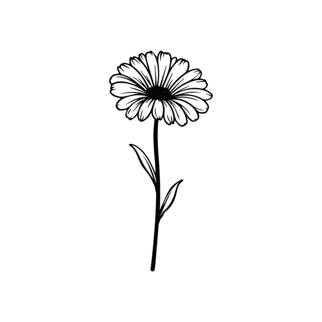 Vector gerbera flower vector illustration