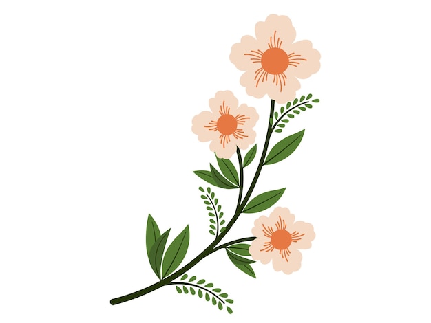 Gerbera Spring Blossom Flowers Illustration