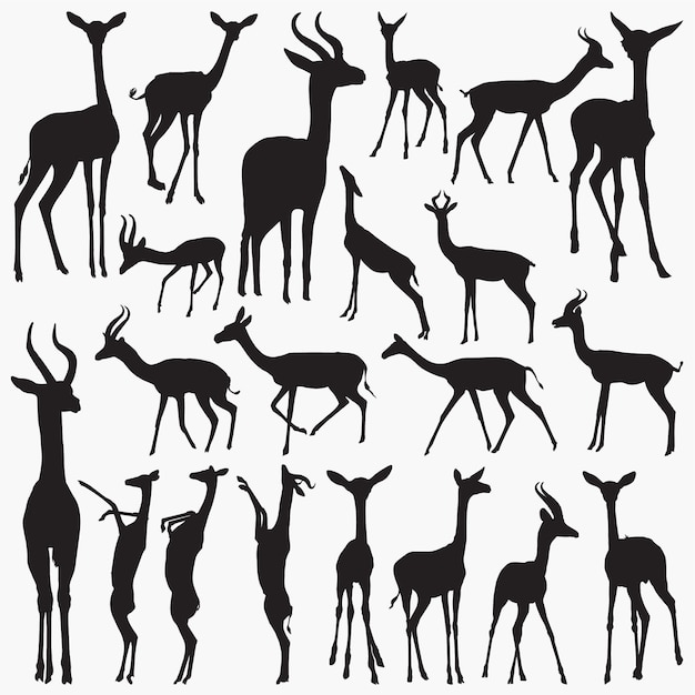 Vector gerenuk silhouettes