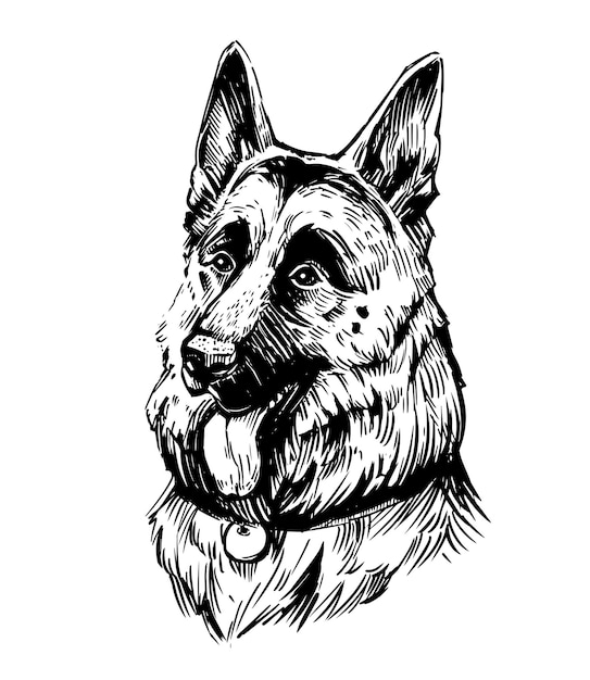 German shepherd dog hand drawn sketch illustration Black outline transparent background