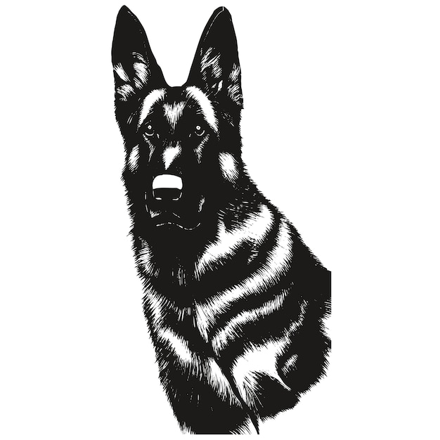 German shepherd hand drawn vector clip art black and white drawing of dog