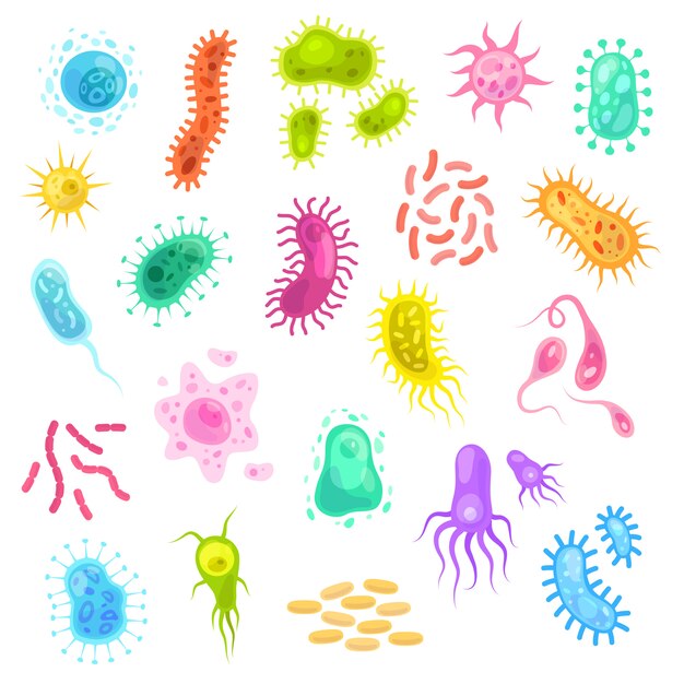 Vector germs set. colorful flu virus cells biological microbes amoeba epidemiology bacteria disease germ flu cell science set