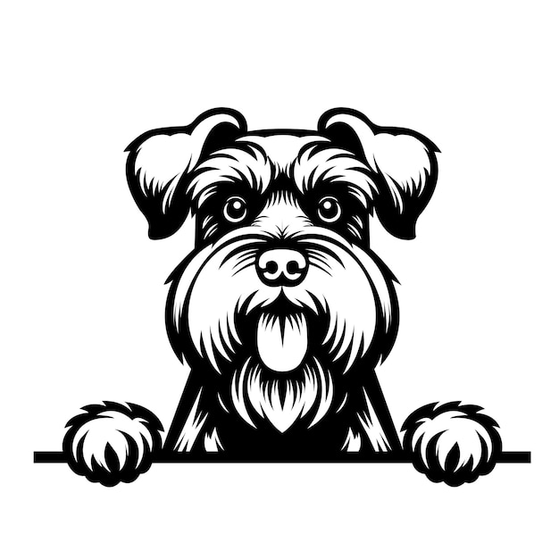 Giant Schnauzer dog peeking face illustration vector