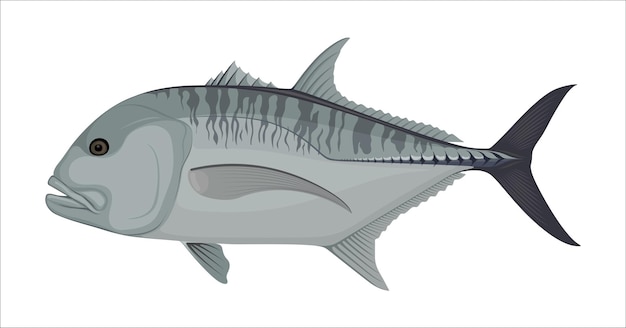 Vector giant trevally fish sea food animal vector illustration