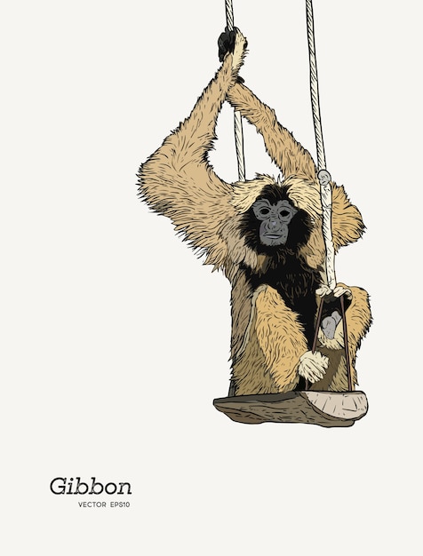 Gibbon monkey sketch graphic drawing.