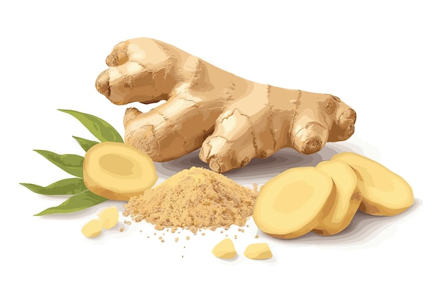 Ginger root and ginger powder in a wooden bowl and spoon isolated on white background watercolor