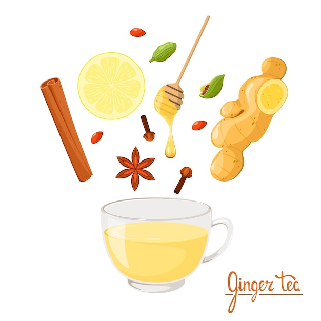 Vector ginger tea with ingredients cartoon design