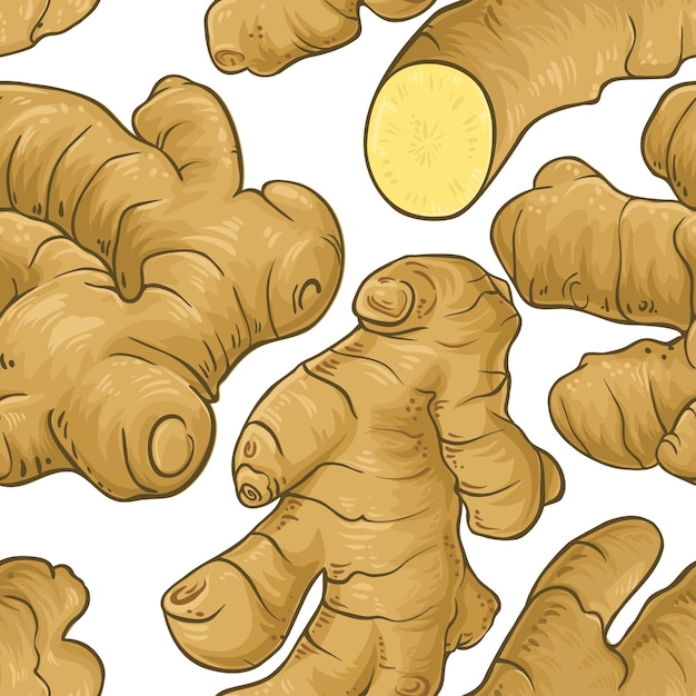 Ginger vector pattern