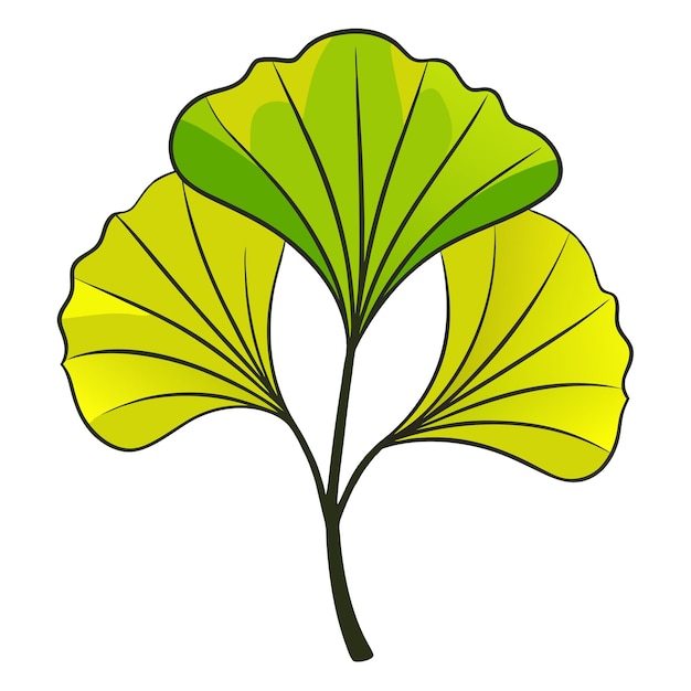 Vector ginkgo leaf plant clipart vector art and illustration