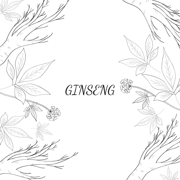 Ginseng background 3