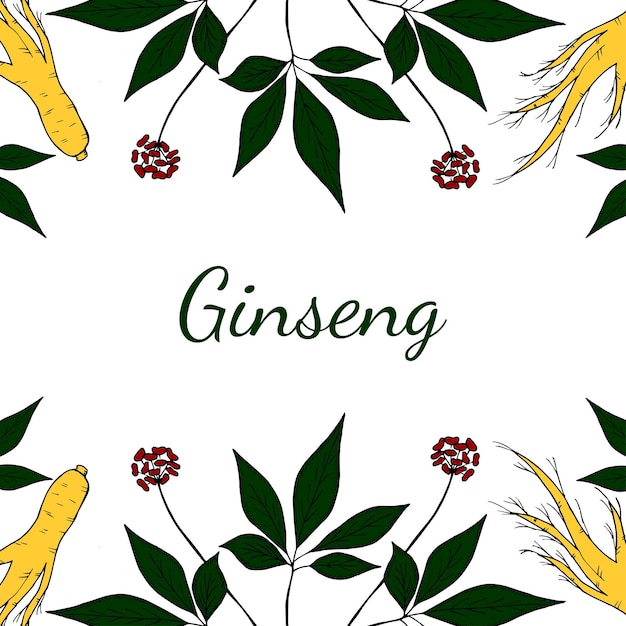 Ginseng gorizontal background in color