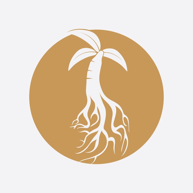 Ginseng logo and vector template