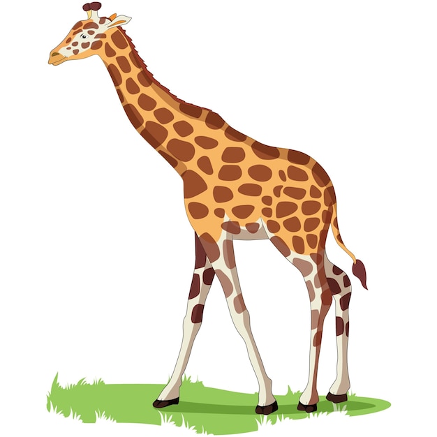 Giraffe on the Grass Vector Illustration