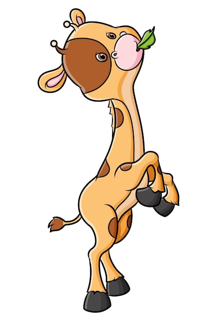 The giraffe is eating leaf while standing of illustration