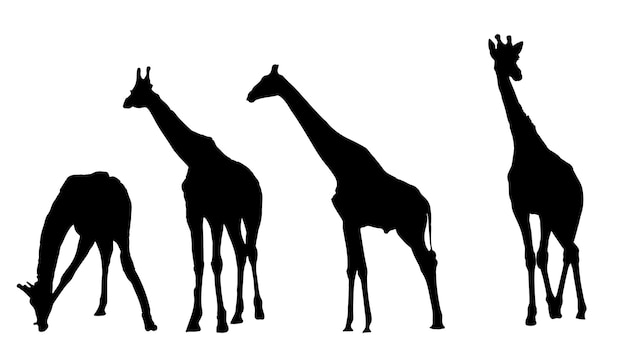 Giraffe silhouette set