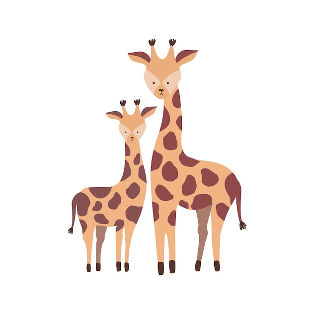 Giraffe with calf isolated on white background. Family of cute wild African savannah herbivorous animals. Parent with child or offspring, mother and baby. Flat cartoon childish vector illustration.