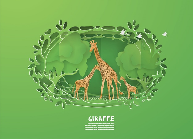 GIRAFFES family in the green forest on Nature, animals, wildlife.